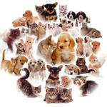 Trefl Collage Round Our Pets Jigsaw Puzzle (300)