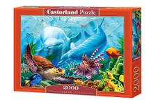 Ocean Life ZN66529